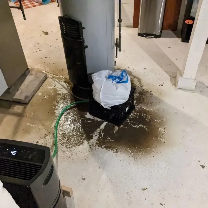 Sewage Backup Cleanup Service in Wright County, MO